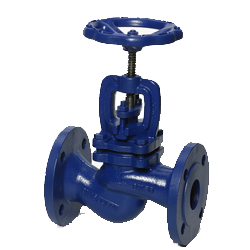 Globe valve flanged