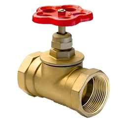 Globe valve threaded